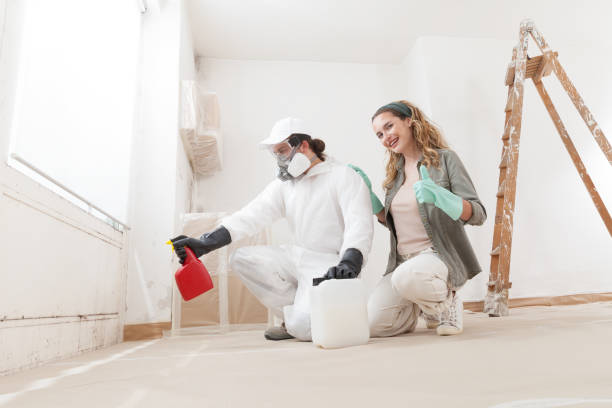 Best Attic Mold Removal  in Cementon, PA